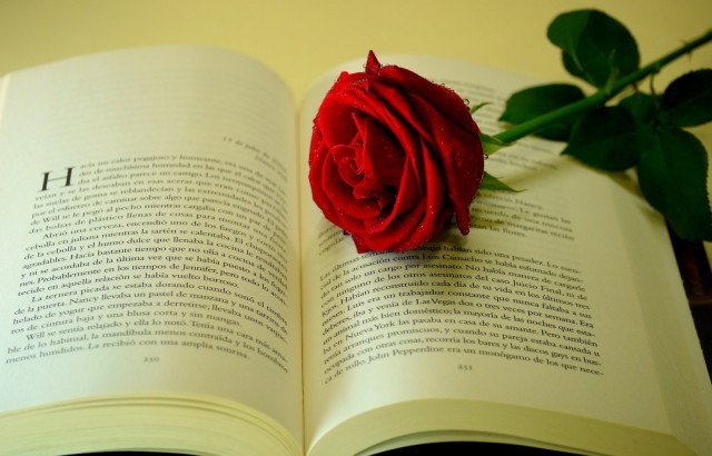 Book-And-Love-Photos-1600x1026-d1RX8EwIV2.jpg