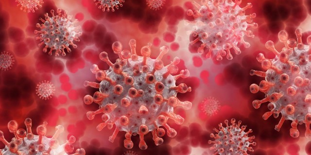 COVID19-Coronavirus-header-X6GdiVl3mS.jpg