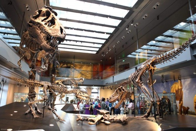 NaturalHistoryMuseumTicketinLosAngeles-KlookIndia-5GE8JtJTZF.jpg