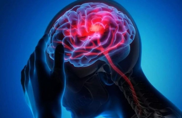 Untitled design - 2024-07-29T121928.413-RUX2UQvSzu.jpg