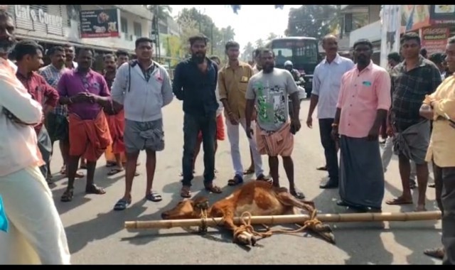 WhatsApp Image 2023-01-30 at 1.49.43 PM-7h1uPMm4se.jpeg