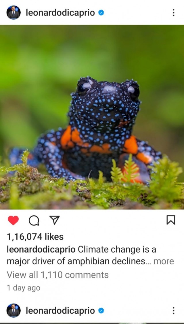 WhatsApp Image 2024-05-13 at 8.59.50 AM-1zDa5kZ9mT.jpeg