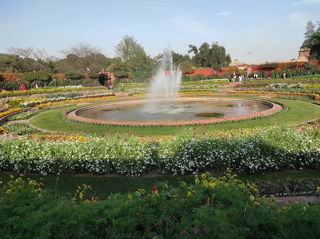 WhatsApp Image 2025-01-22 at 9.40.48 AM-fpzW8VrzSQ.jpeg