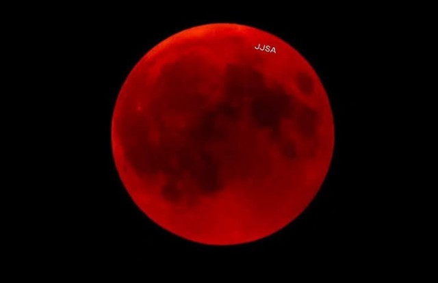 WhatsApp Image 2025-03-13 at 5.28.29 AM-vkRZ9DGBI2.jpeg