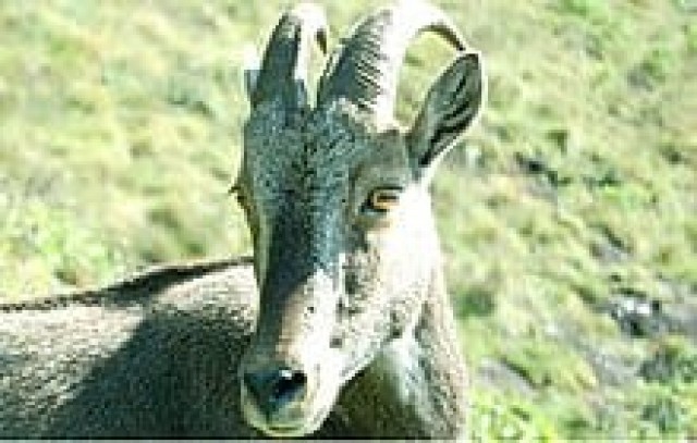 WhatsApp Image 2025-04-10 at 8.03.16 AM-hEgmiQukII.jpeg