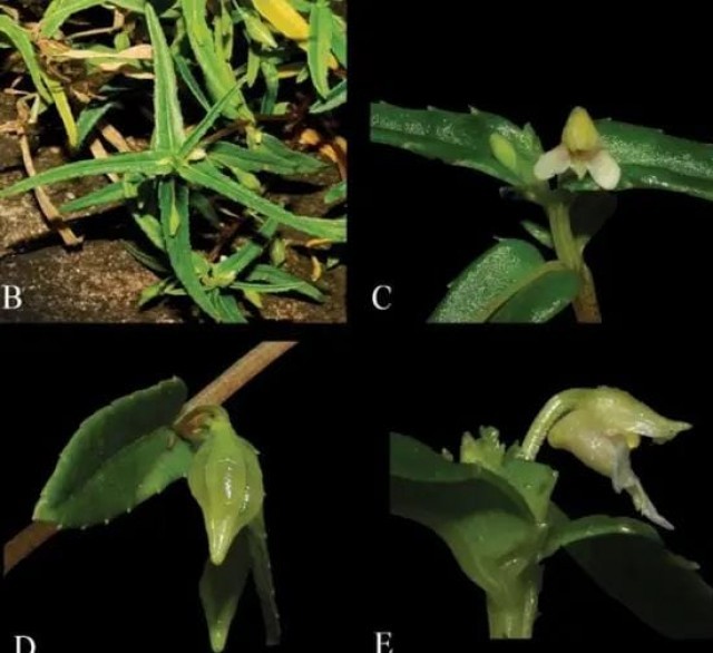 WhatsApp Image 2025-07-25 at 7.18.14 AM-PnpRbYxr7R.jpeg