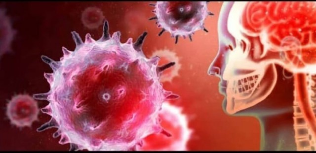 WhatsApp Image 2025-10-28 at 5.32.46 AM-ShMhbMOaxS.jpeg