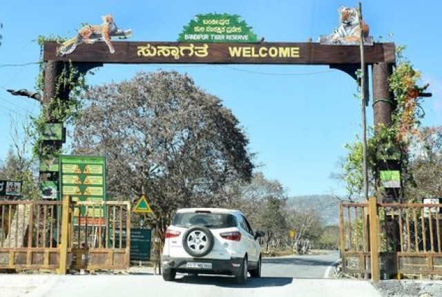 bandipur-5GHWGJQigE.jpg