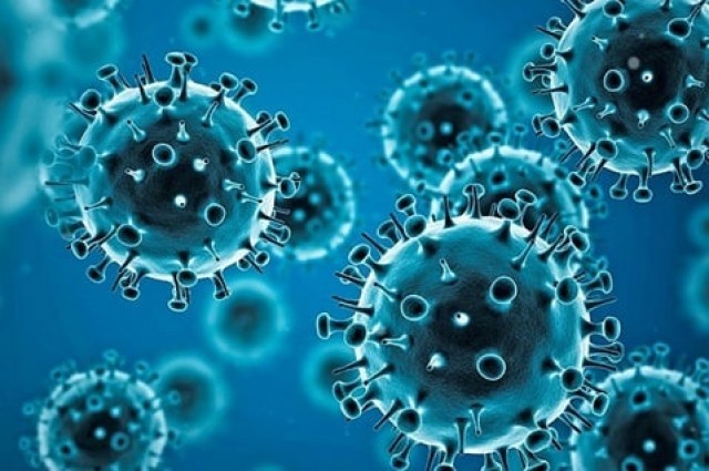 coronavirus-JSGlbPu556.jpg