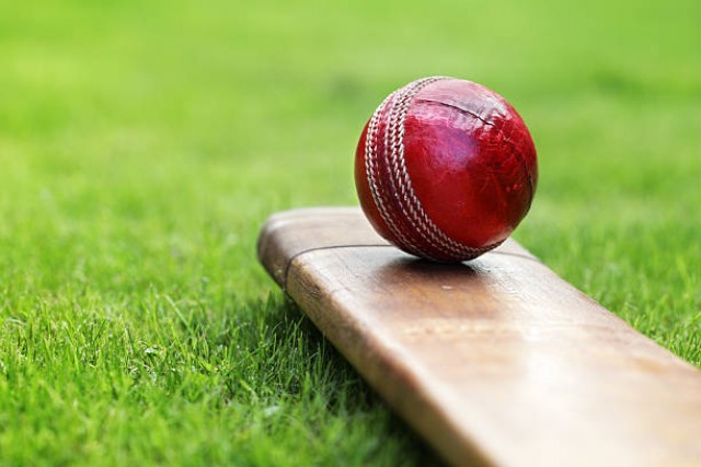 cricket-aD6YjNzfFQ.jpg