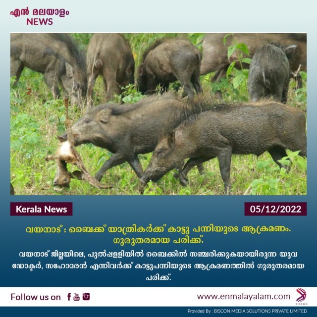 en-malayalam_news-05-12-08-tYS1FCdpdr.jpg