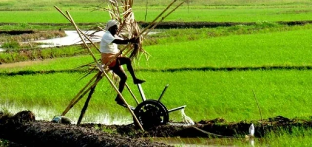 farmer-Z80zDvNxEz.webp