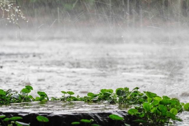 havy rainfall-bN4JLSnlEB.jpg