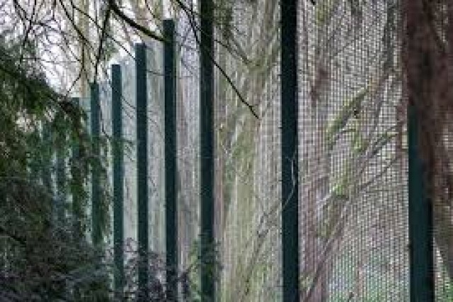 images (1)-Lu8ecRAFeG.jpg