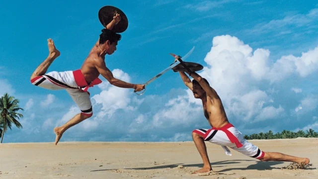 kalaripayattu20131111114353_27_1-V6hL1eFH9E.webp