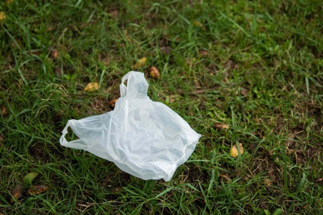 plastic-1tmNarAJPw.jpg